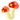 mushrooms mushrooms